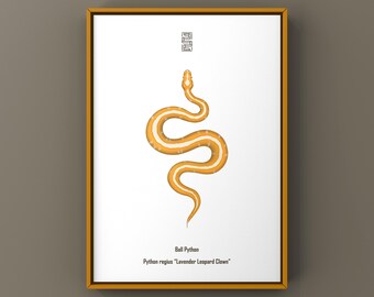 Impresión artística de serpiente pitón bola payaso leopardo lavanda, ilustración biológica, decoración de pared de serpiente