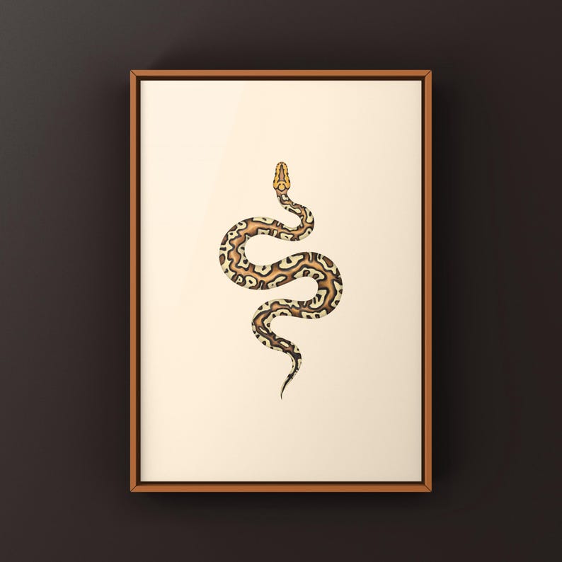 Pompeii Ball Python Python regius art print by The Morph Archive, detailed ball python morph artwork.