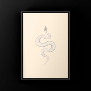 Super Mojave Ball Python Python regius art print by The Morph Archive, leucistic snake artwork by Mingo X.