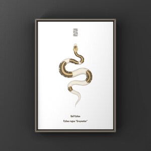 Greymatter Ball Python Art Print (Python regius), Multi-Gene Designer Python Illustration Featuring Complex Pattern