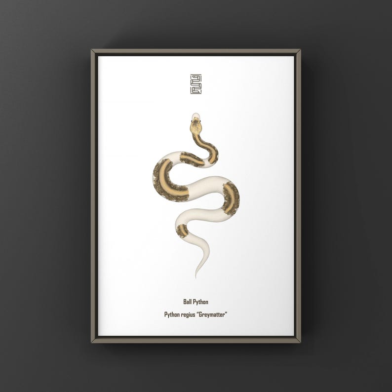 Greymatter Ball Python Python regius art print by The Morph Archive, ball python morph illustration by Mingo X.