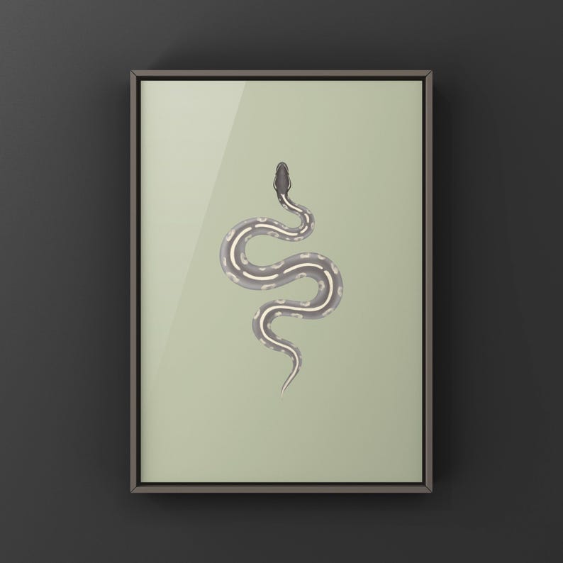 Mystic Potion Ball Python Python regius art print by The Morph Archive, colorful snake artwork by Mingo X.