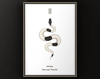 Impresión artística de una pitón bola de varios colores, ilustración biológica, decoración de pared con serpientes