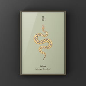 Banana Clown Ball Python Python regius art print by The Morph Archive, designer snake artwork by Mingo X.