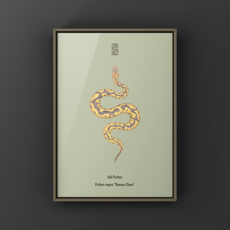 Banana Clown Ball Python Python regius art print by The Morph Archive, designer snake artwork by Mingo X.
