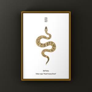 Pastel Freeway Gravel Ball Python (Python regius) Art Print, Biological Illustration, Snake Wall Decor