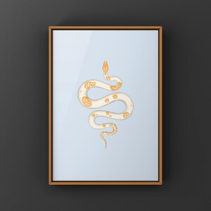 Albino Pied Burmese Python Python bivittatus art print by The Morph Archive, python illustration by Mingo X.