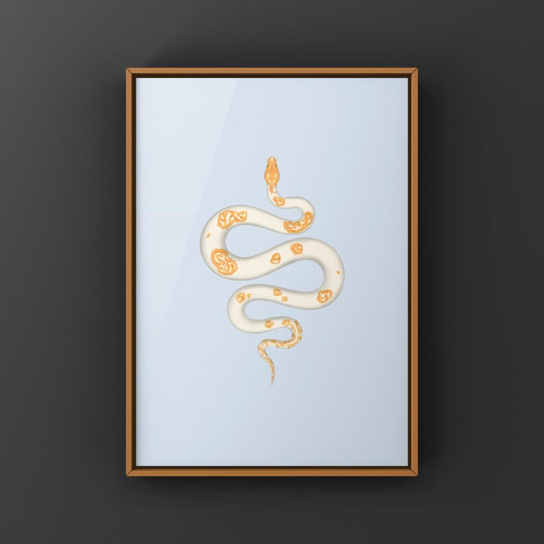 Albino Pied Burmese Python Python bivittatus art print by The Morph Archive, python illustration by Mingo X.