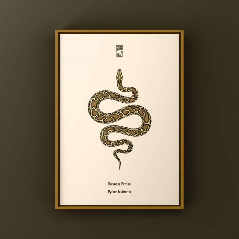 Burmese Python Python bivittatus art print by The Morph Archive, large snake artwork by Mingo X.