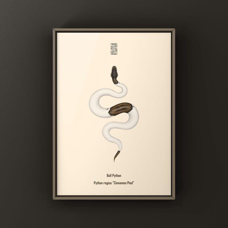 Cinnamon Pied Ball Python Python regius art print by The Morph Archive, piebald snake artwork by Mingo X.