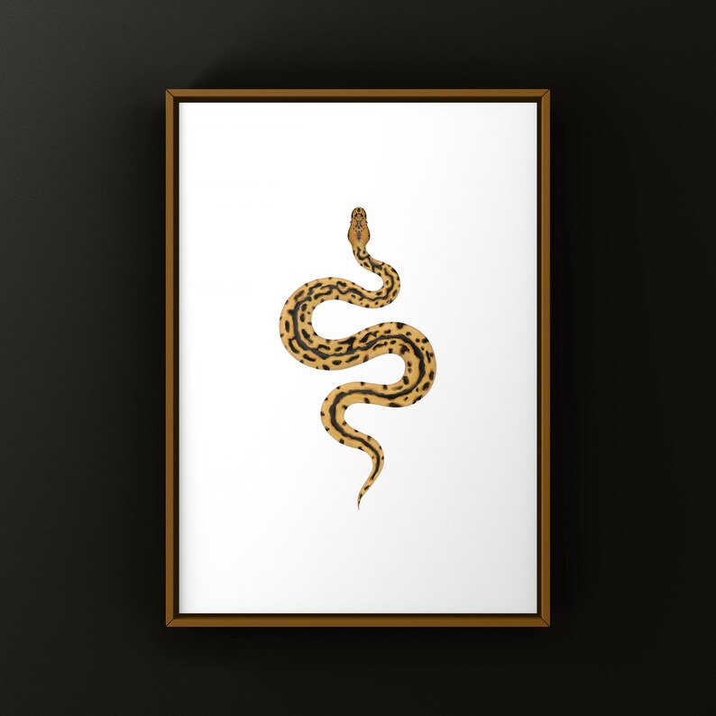 Batman Ball Python Python regius art print by The Morph Archive, designer snake artwork by Mingo X.