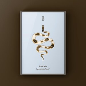 Piebald Burmese Python Python bivittatus art print by The Morph Archive, piebald snake artwork by Mingo X.
