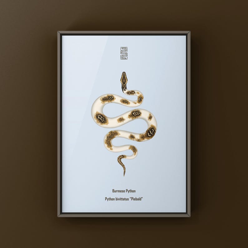 Piebald Burmese Python Python bivittatus art print by The Morph Archive, piebald snake artwork by Mingo X.