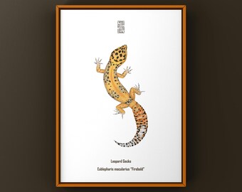 Grafika artystyczna z gekona lamparciego Firebold, ilustracja biologiczna, dekoracja ścienna z wężem