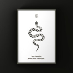 Axanthic Anaconda Western Hognose Snake Art Print (Heterodon nasicus), Snake Illustration Featuring Clean Minimal Biological Art