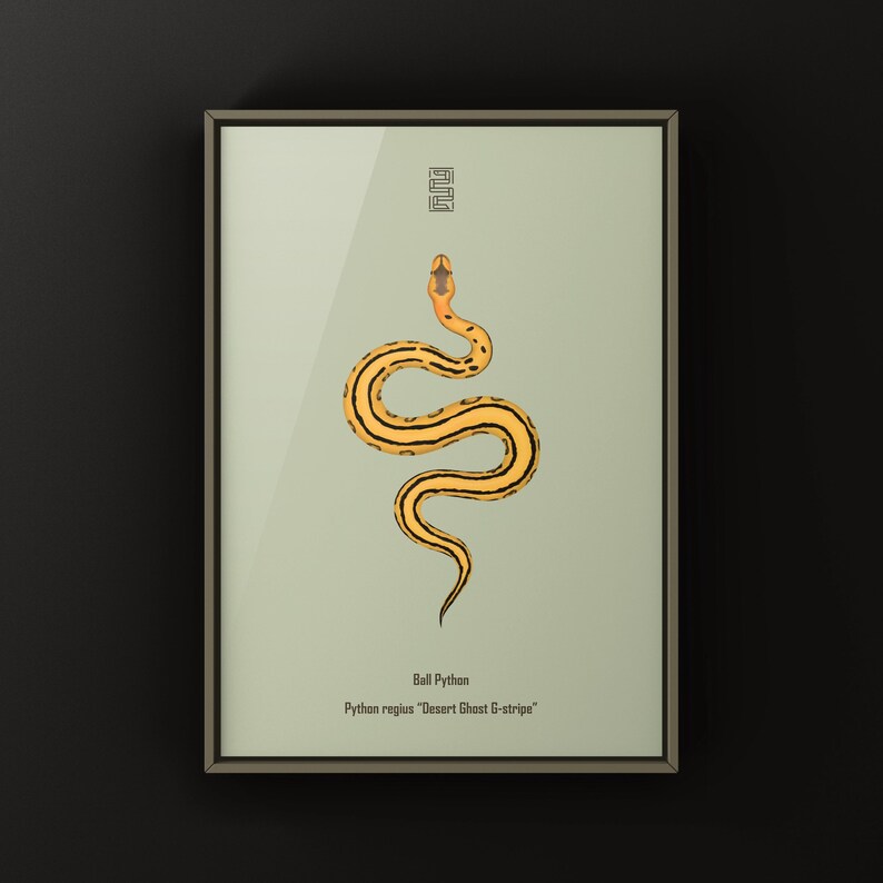 Desert Ghost G-stripe Ball Python Python regius art print by The Morph Archive, ball python morph illustration by Mingo X.
