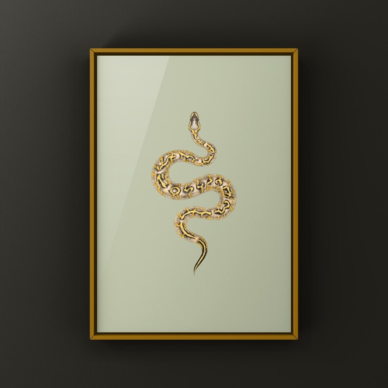 Pastel Freeway Gravel Ball Python Python regius art print by The Morph Archive, multi-gene snake artwork by Mingo X.