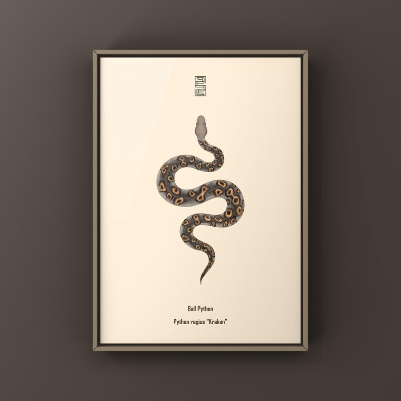 Kraken Ball Python Python regius art print by The Morph Archive, detailed morph python artwork.