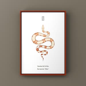 Może przedstawiać: Zestaw trzech ceramicznych kubków z nakrapianym, matowym wykończeniem. Kubki są w odcieniach kremu, jasnoszarym i ciemnoszarym. Każdy kubek ma prosty, minimalistyczny design, idealny do kawy lub herbaty.