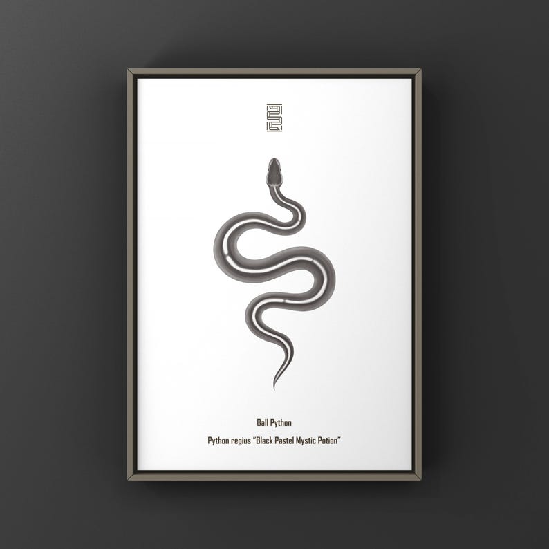Black Pastel Mystic Potion Ball Python Python regius art print by The Morph Archive, ball python morph illustration by Mingo X.