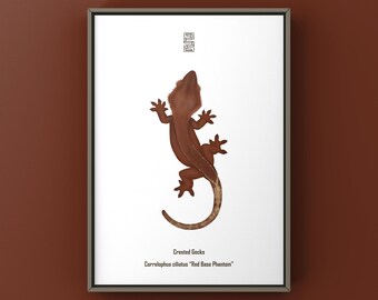 Rode basis Phantom Crested Gecko Art Print (Correlophus ciliatus), biologische illustratie, wanddecoratie gekko