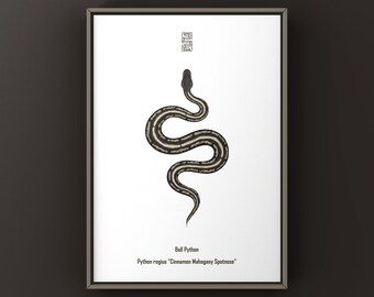 Kunstprint van een kaneelkleurige mahonie balpython, illustratie van de Python Regius Morph.