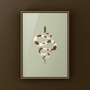 Piebald Burmese Python Python bivittatus art print by The Morph Archive, piebald snake artwork by Mingo X.