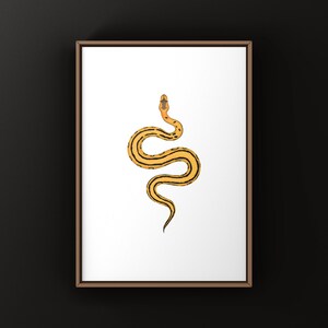 Desert Ghost G-stripe Ball Python Python regius art print by The Morph Archive, ball python morph illustration by Mingo X.