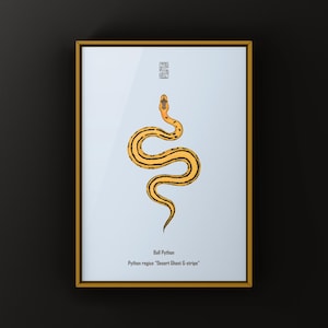 Desert Ghost G-stripe Ball Python Python regius art print by The Morph Archive, ball python morph illustration by Mingo X.