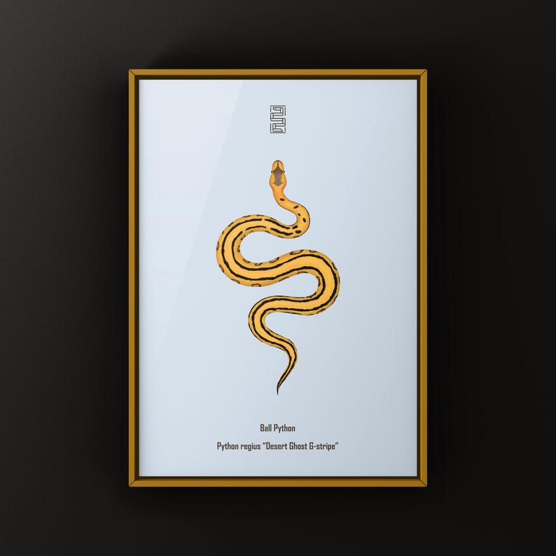 Desert Ghost G-stripe Ball Python Python regius art print by The Morph Archive, ball python morph illustration by Mingo X.
