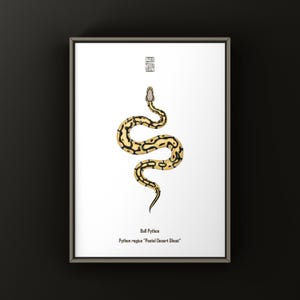 May include: A framed print featuring a stylized illustration of a ball python. The snake has a yellow and black pattern on a white background. The text "Ball Python" and "Python regius 'Pastel Desert Ghost'" is below the snake.
