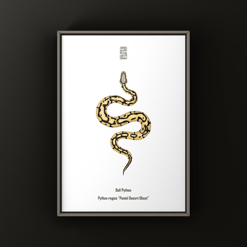 Pastel Desert Ghost Ball Python Python regius art print by The Morph Archive, ball python morph illustration by Mingo X.