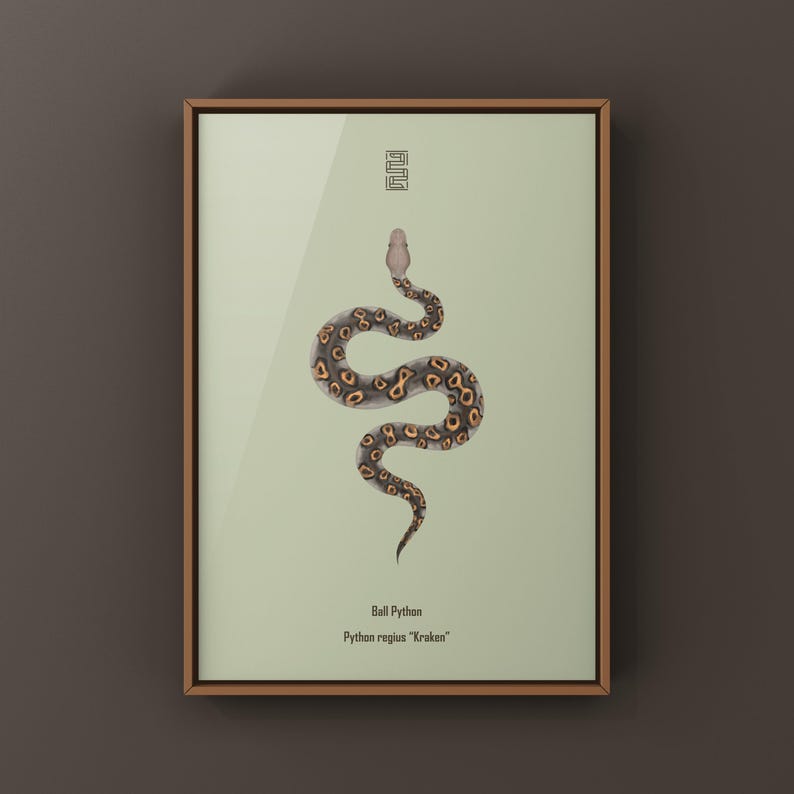 Kraken Ball Python Python regius art print by The Morph Archive, detailed morph python artwork.