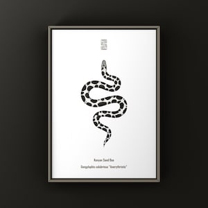 Op de afbeelding: Een ingelijste print met een zwart-witte illustratie van een Keniaanse zandboa. De slang heeft een patroon van zwarte vlekken op een witte achtergrond. De print bevat de wetenschappelijke naam en een decoratief symbool bovenaan.