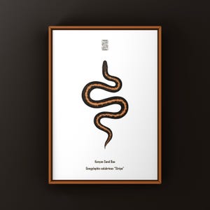 May include: A framed print featuring a black and orange striped snake illustration centred on a white background. Above the snake is a small square logo. Below the snake, the text reads: Kenyan Sand Boa, Gongylophis colubrinus "Stripe".