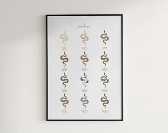 Ball Python Morphs Identification Chart, Reptile Art Print, Exotic Decor