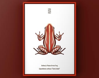 Lámina artística de la rana venenosa de Anthony (Epipedobates anthonyi “Santa Isabel”), ilustración biológica, decoración de pared con forma de serpiente.