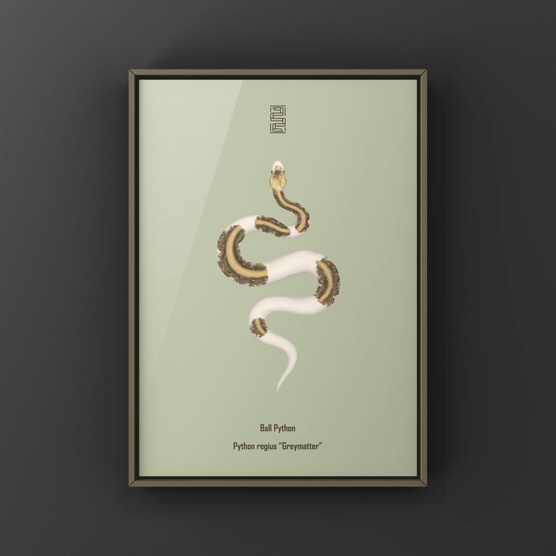 Greymatter Ball Python Python regius art print by The Morph Archive, ball python morph illustration by Mingo X.