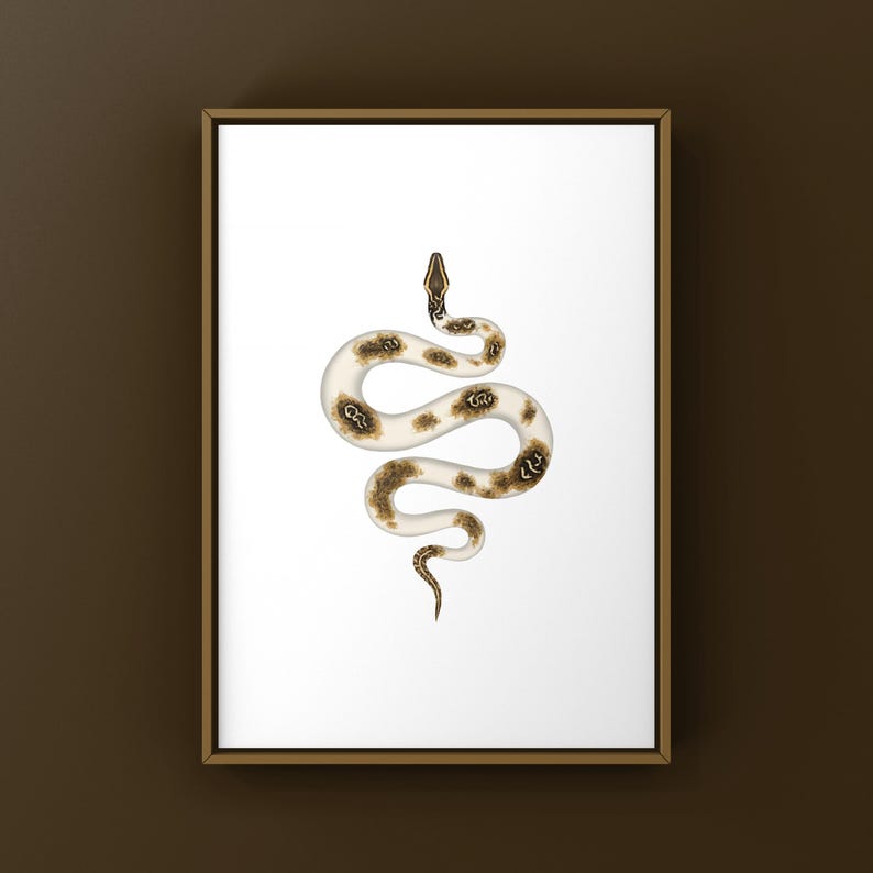 Piebald Burmese Python Python bivittatus art print by The Morph Archive, piebald snake artwork by Mingo X.