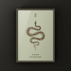 Labyrinth Burmese Python Python bivittatus art print by The Morph Archive, patterned snake artwork by Mingo X.