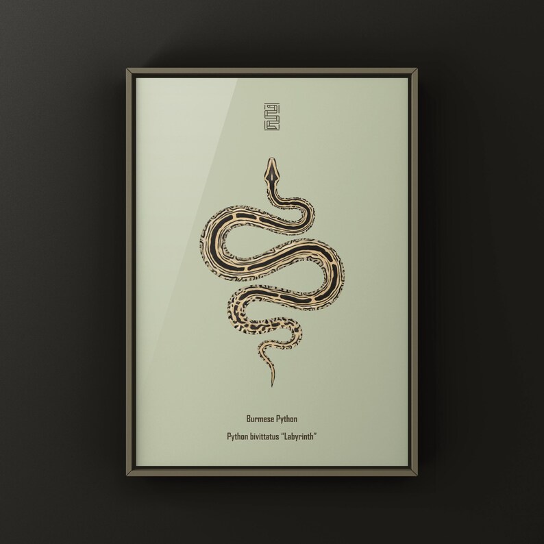 Labyrinth Burmese Python Python bivittatus art print by The Morph Archive, patterned snake artwork by Mingo X.