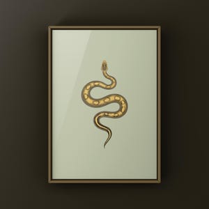 Champagne Ball Python Python regius art print by The Morph Archive, ball python morph illustration by Mingo X.