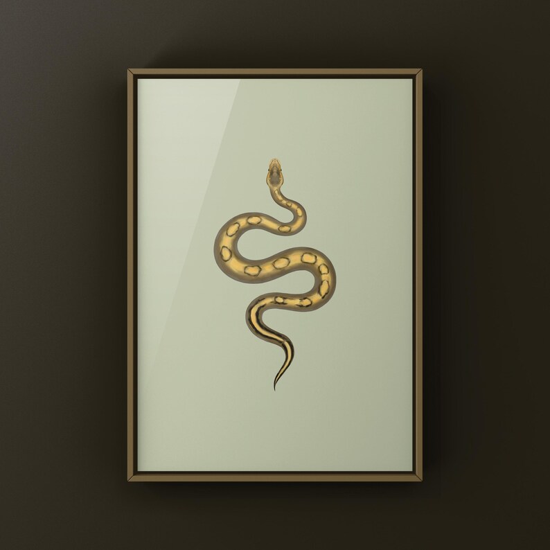 Champagne Ball Python Python regius art print by The Morph Archive, ball python morph illustration by Mingo X.