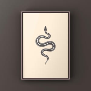Black Pastel Mystic Potion Ball Python Python regius art print by The Morph Archive, ball python morph illustration by Mingo X.