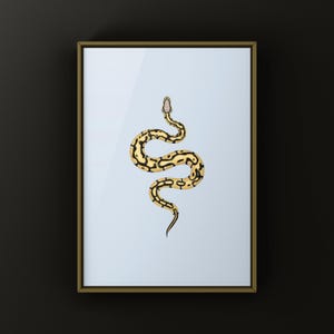 Pastel Desert Ghost Ball Python Python regius art print by The Morph Archive, ball python morph illustration by Mingo X.