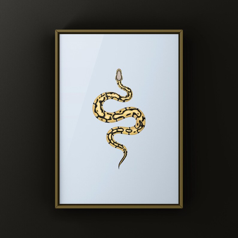 Pastel Desert Ghost Ball Python Python regius art print by The Morph Archive, ball python morph illustration by Mingo X.