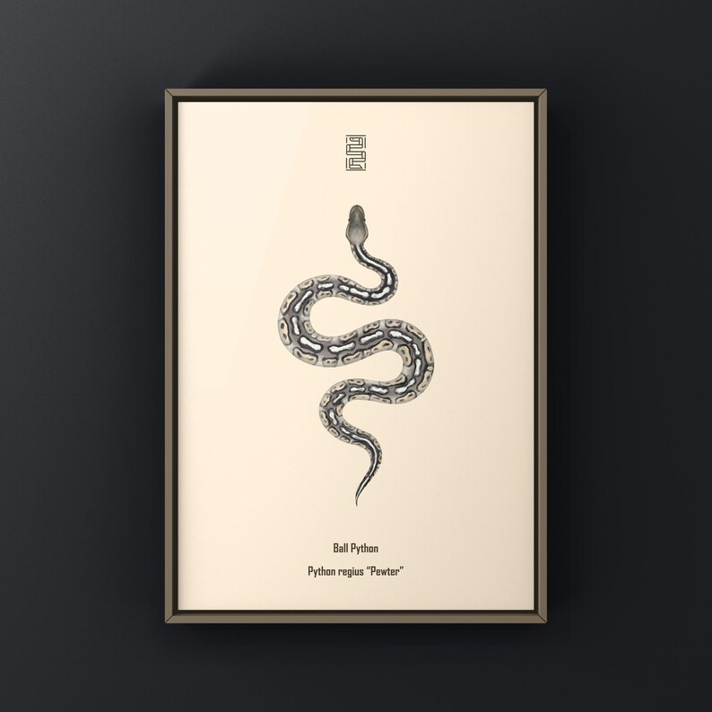 Pewter Ball Python Python regius art print by The Morph Archive, snake morph artwork by Mingo X.