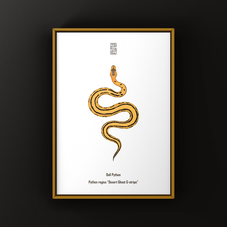 Desert Ghost G-stripe Ball Python Python regius art print by The Morph Archive, ball python morph illustration by Mingo X.