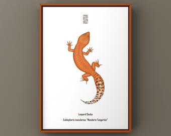 Mandarin Tangerine Leopard Gecko Art Print, Biological Illustration, Snake Wall Decor