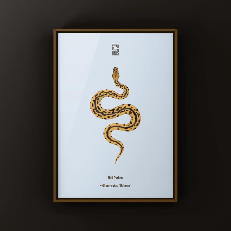 Batman Ball Python Python regius art print by The Morph Archive, designer snake artwork by Mingo X.